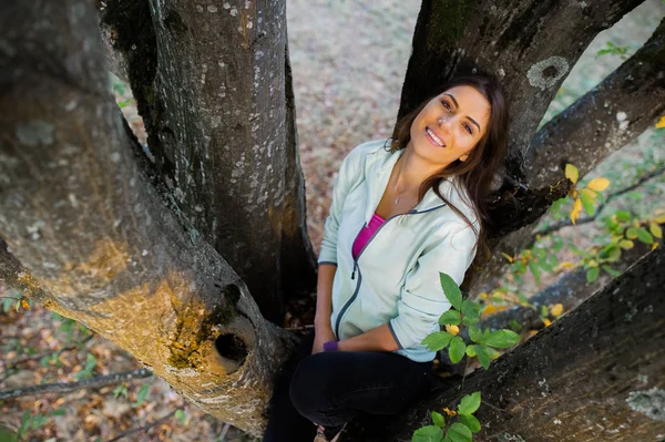 Bella giovane donna arrampicata su un vecchio albero — Foto Stock