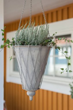 Ahşap ev girişinde asılı bir saksıyı ayrıntıları. İskandinav dekorasyon tarzı. İsveç, Scandinavia, Europe.
