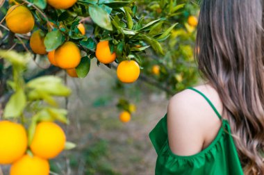 Genç kadın, açık havada bir portakal bahçesi nde Günbatımı. Sağlıklı yaşam konsepti, cilt ve saç bakım kavramı.  