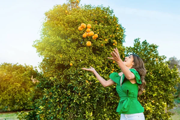 Freudige Junge Frau Draußen Bei Sonnenuntergang Einem Orangefarbenen Obstgarten Spielend — Stockfoto