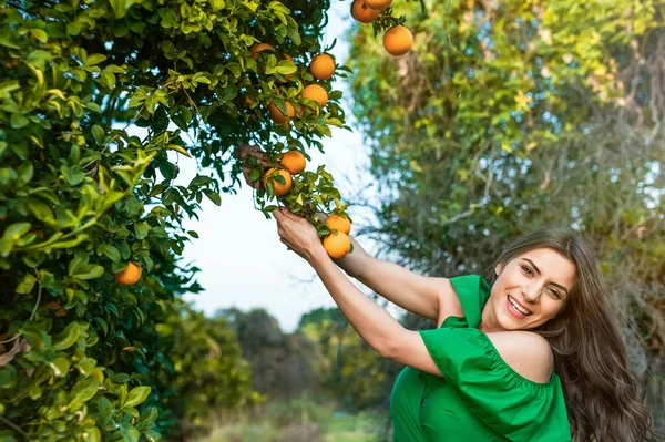 Vacker Ung Kvinna Utomhus Solnedgången Orange Fruktträdgård Tittar Kameran Och — Stockfoto