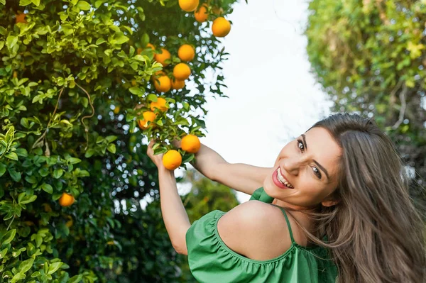 Krásná Mladá Žena Venku Při Západu Slunce Oranžové Sadu Při — Stock fotografie