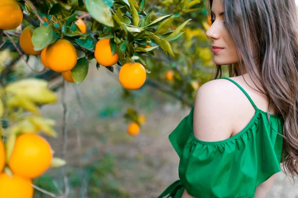 Jemně Mladá Žena Venku Při Západu Slunce Oranžové Orchard Držící — Stock fotografie