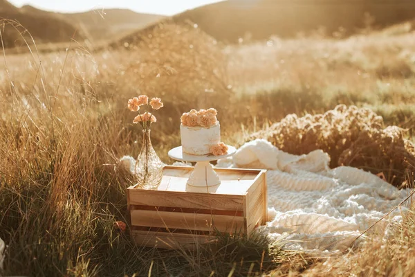 美しい毛布 花と木製の箱で日没時に屋外で赤ちゃんのために設定されたケーキの写真セッションを粉砕 ストック画像