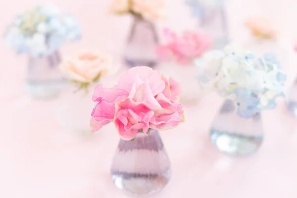 Decoration of blooming blue hydrangea, sweet pea Lathyrus, bush roses in small crystal vases on pink background. Design, Creative. International Women\'s Day,March 8 and Valentine\'s Day,14 of February.