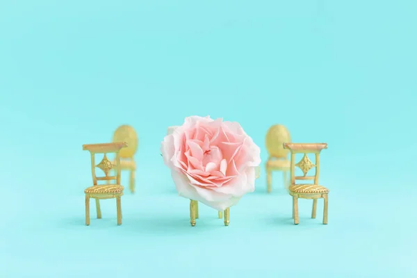 Small golden souvenir retro chairs with rose flower standing in rows on blue background.Royal armchairs,throne.Spring, summer concept for love,romance notes. Design for letter, greeting birthday card.