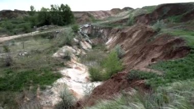 Vahşi yaşam üzerindeki kil ocağında yeşil çimen arabaları