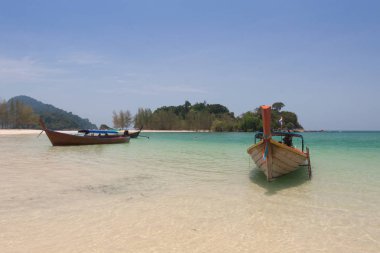 Tavuk ve pirinç ile Hint köri