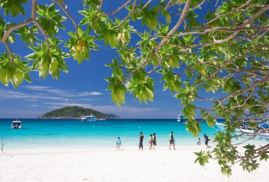 Güzel tropikal plaj 