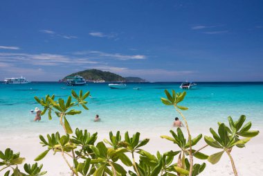 Mavi denizde Yüzme turist