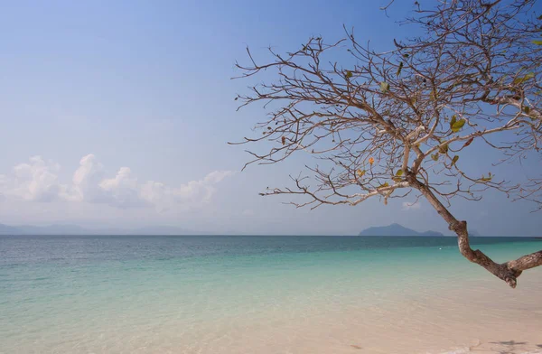 Spiaggia tropicale sul mare delle Andamane, Thailandia — Foto Stock
