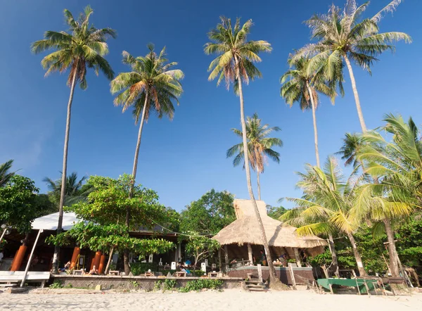 Hindistan cevizi ile plaj