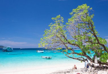 Güzel tropikal plaj