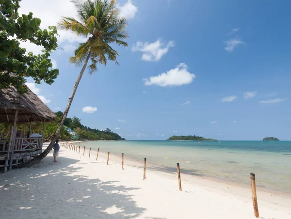 Mavi gökyüzü olan tropik plaj.