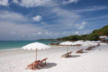 sandalye ve şemsiye tropikal plaj