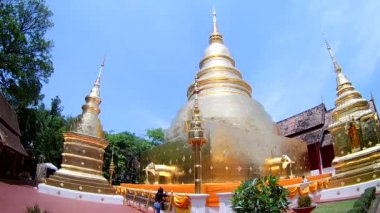 Golden pagoda Wat Phra Singh Budist tapınağı, Chiang Mai, Tayland. (balık gözü lens tarafından)
