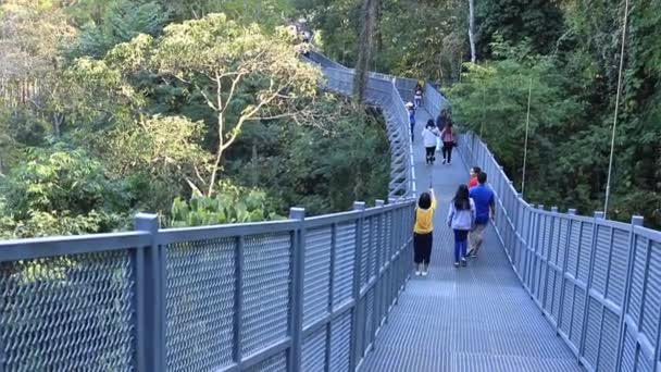 Tetején Tetőtéri Séta Queen Sirikit Botanikus Barden Chiang Mai Thaiföld — Stock videók