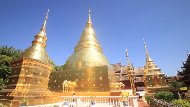 Golden Pagoda Wat Phra Singh Buddhist Temple Chiang Mai Thailand — Stockvideo