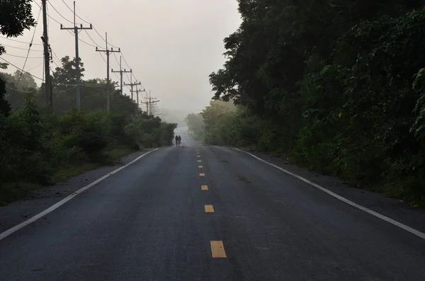 Empty Road Green Nature — Stock Photo, Image