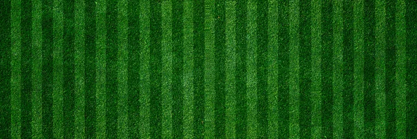 Groen Gras Gras Als Voetbal Veld Textuur Achtergrond — Stockfoto