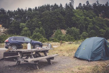 Altın Bluffs Beach kamp, Amerika Birleşik Devletleri Kaliforniya üzerinde kamp