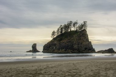 İkinci beach, La Push, Pacific Coast, Usa Washington
