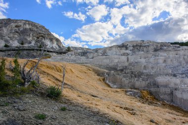 Yellowstone Ulusal Parkı 'ndaki Mamut Kaplıcaları, Wyoming, ABD