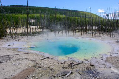Norris Şofben Havzası, Yellowstone Milli Parkı, Wyoming, ABD