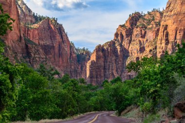Yoldayım, Zion National Park, Utah, Amerika Birleşik Devletleri