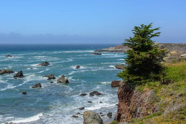 Lone pine tree na klifie na Pacyfiku, Big Sur California Usa — Zdjęcie stockowe