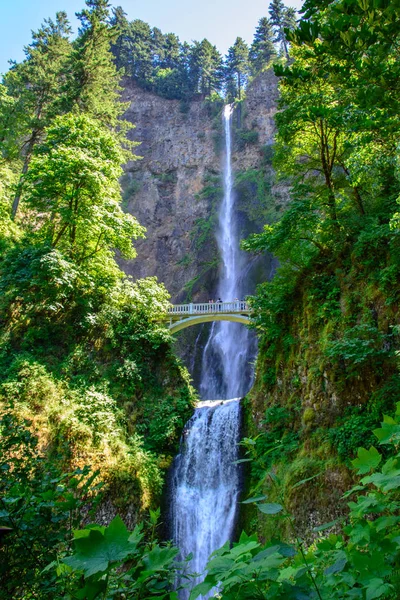 Great Multnomah Falls, Portland, Oregon, EE.UU. — Foto de Stock