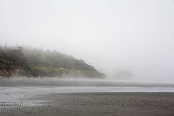 Wybrzeża Pacyfiku, Kalaloch beach, Washington, Stany Zjednoczone Ameryki — Zdjęcie stockowe