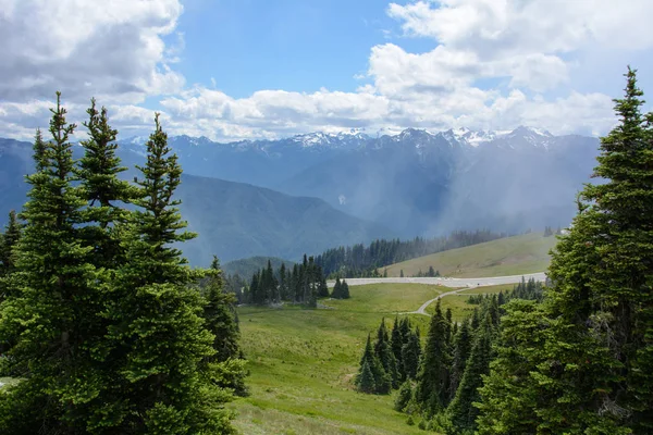 Paisaje forestal en las montañas, Parque Nacional Olímpico, Washington, EE.UU. —  Fotos de Stock