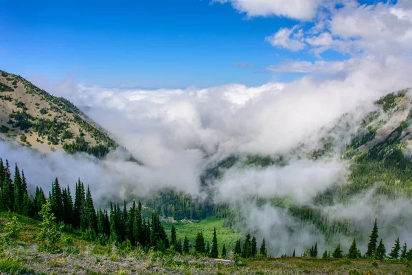 美国华盛顿奥林匹克国家公园，多云的高山景观 — 图库照片