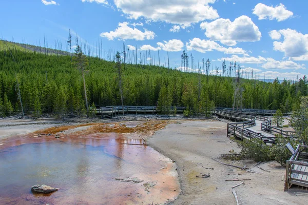 Norris Geyser Basin, Parque Nacional de Yellowstone, Wyoming, EUA — Fotografia de Stock