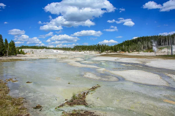 The Valley of Geysers in Yellowstone National Park, Wyoming, Estados Unidos — Foto de Stock