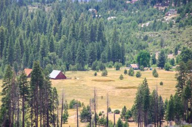 Yosemite Milli Parkı, California Vadisi evde