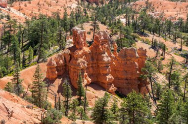 Uğursuzluk Milli Parkı Bryce Canyon, Utah, Amerika Birleşik Devletleri 