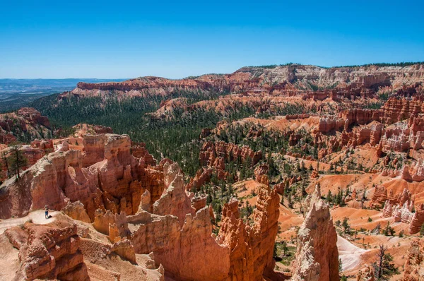 Γρουσούζης σε εθνικό πάρκο Bryce Canyon, Γιούτα, Ηνωμένες Πολιτείες — Φωτογραφία Αρχείου