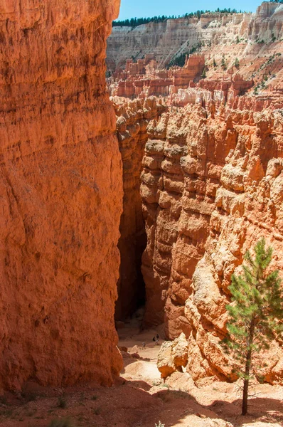 Navajo Loop Trail en Bryce Canyon National Park, Utah, Estados Unidos —  Fotos de Stock