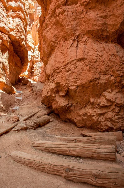 Navajo pętli szlaku w Stanach Zjednoczonych, w stanie Utah, w Parku Narodowego Bryce Canyon — Zdjęcie stockowe
