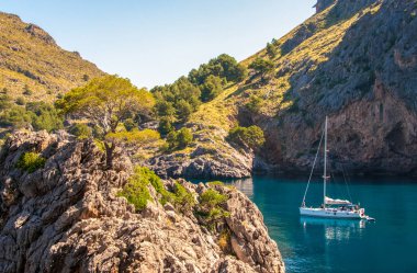 Akdeniz bay, Mallorca İspanya tekne