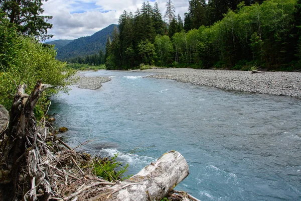 Rio Broad Hoh no Parque Nacional Olímpico, Washington, EUA — Fotografia de Stock