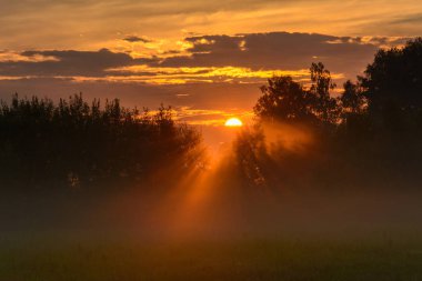 Ahşap siluet günbatımı arka planda, Kaluga, Rusya Federasyonu