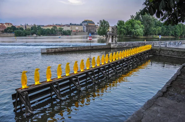 在捷克共和国布拉格伏尔塔瓦河河畔的黄色企鹅 图库图片
