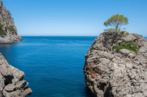 在海湾的 Sa 卡洛，马略卡岛，西班牙的悬崖 免版税图库图片