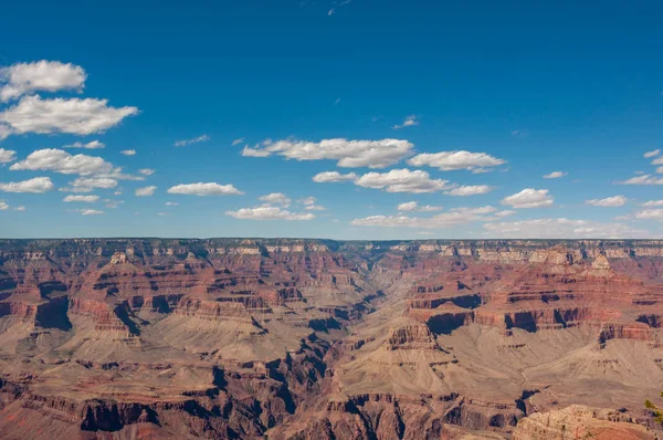 Río Colorado Parque Nacional Del Gran Cañón Arizona Estados Unidos — Foto de Stock