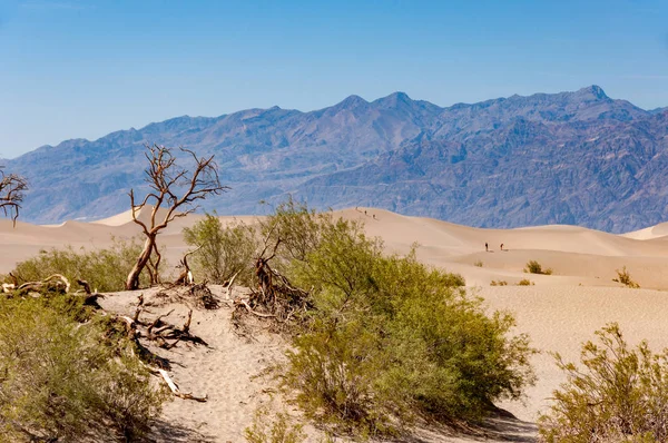 デスバレー国立公園内の砂丘 California Usa — ストック写真