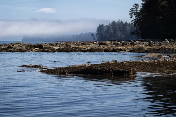 Kuststräcka nära Port Hardy, Vancouver Island, British Columbia, Kanada — Stockfoto