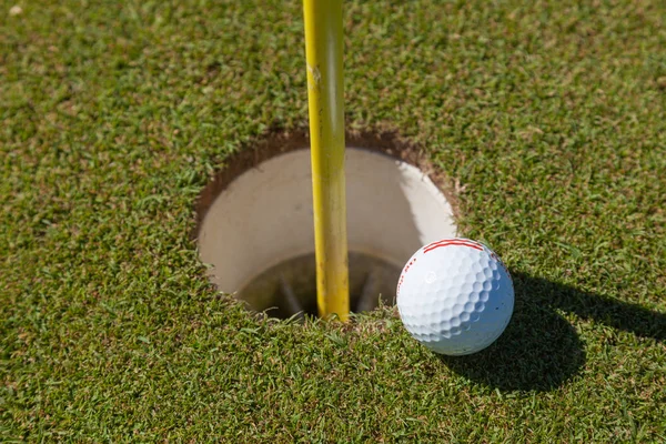 Golfball Auf Becherlippe — Stockfoto